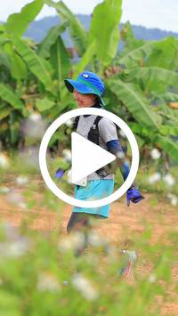 BIB:  <button type="button" onclick="openModal(26804900)" class="btn btn-primary btn-sm float-right" data-toggle="modal" data-target=".modal-high-quality">
                <i class="fa fa-download"></i> Download
                </button>